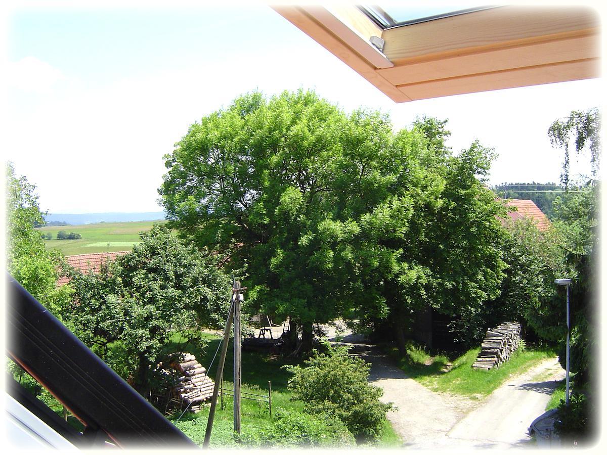 Gasthof Hotel Traube Oberndorf am Neckar Δωμάτιο φωτογραφία